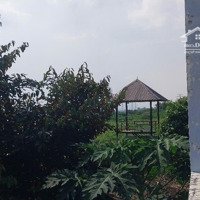 Căn Nhà Vườn Sẵn Hồ Cá .Giá Mềm Nhũn