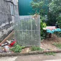 Bán Đất Tam Thuấn - Phúc Thọ - Hà Nội - 48,5M2