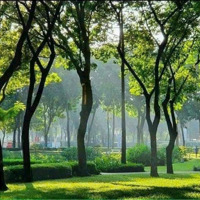 Cần Cho Thuê Căn Alnata Plus 2 Phòng Ngủ, 2Wc
