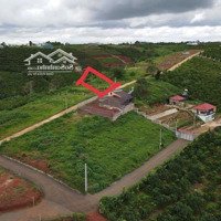 Cần Bán Gấp Đất Đường Trần Nhật Duật