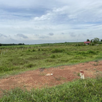 Bán 1000M2 Đất Trung Hoà, 2Mt Đường. Sổ Riêng, Đường Xe Hơi
