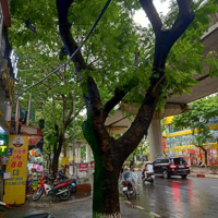 Cho Thuê Cửa Hàng 65 Xuân Thủy