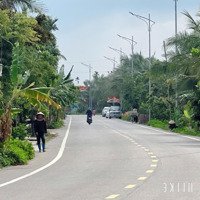Bán Lô Đất 115Mv Chính Chủ Tại Đường 301 Bát Trang An Lão