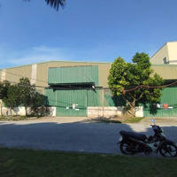 Cho Thuê Kho Đường Kim Giang, Thanh Trì.diện Tích1000M, Cao 7M, Dựng Mới 100% Chưa Sử Dụng. Giá 100K/M