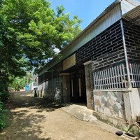 Bán Đất Tại Quang Phong, Thái Hòa, Nghệ An, Giá Bán 699 Triệu, 490M2