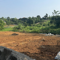 Bán Đất Nghỉ Dưỡng 1350M2! View Cánh Đồng, Núi. Tại Ba Vì