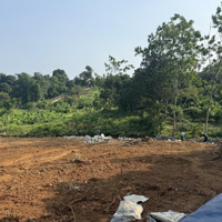 Bán Đất Nghỉ Dưỡng 1350M2! View Cánh Đồng, Núi. Tại Ba Vì