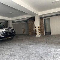 Tòa Nhà Đường Phổ Quang 10X20M Hầm Trệt 4 Lầu Cho Thuê