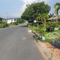 Hạ Giá Bán Gấp Lô Đất Mặt Tiền Đường Nhựa - Phường Phú Hài, Mặt Tiền Đường Nhựa, Trên Đồi View Biển