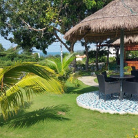 Hạ Giá Bán Gấp Lô Đất Mặt Tiền Đường Nhựa - Phường Phú Hài, Mặt Tiền Đường Nhựa, Trên Đồi View Biển