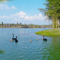 Căn Hộ Giá Từ 1 Tỷ Đồng Hưởng Trọn Tiện Ích 220Ha Của Ecopark Với Rừng Cây Và Mặt Nước