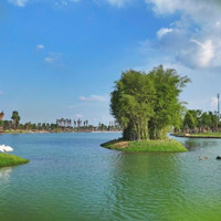 Căn Hộ Giá Từ 1 Tỷ Đồng Hưởng Trọn Tiện Ích 220Ha Của Ecopark Với Rừng Cây Và Mặt Nước