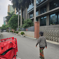 Bán Biệt Thự Song Lập ,Phố Nguyên Hồng,Đống Đa