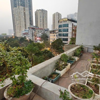 Giá Cực Rẻ !!!! Bán Căn Hộ Sân Vườn Chung Cư 156 M2,3 Pn Phố Nguyễn Chánh,Trung Hòa;O904.760.444