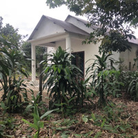 Bán Đất Thổ Cư Mặt Tiền 6.5M Dài 21.27M, Thổ Cư 83.1M2. Sổ Hồng Riêng