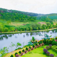 Đất Nền Khu Nghỉ Dưỡng Homestay Đồi Chè Tâm Châu Bảo Lộc