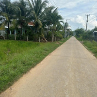 1,6 Tỷ Đất Mặt Tiền Thôn Lạc Hoà, Xã Ninh An, Tx Ninh Hoà. 321 M2 Ngang 8M Đẹp Dã Man