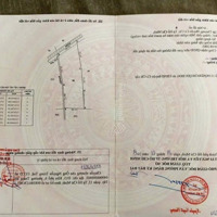 Đất Vườn Giá Rẻ Trung Lập Thượng - Sổ Riêng - Gần Đường Ô Tô - Bán Gấp