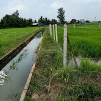 Đất Vườn Giá Rẻ Trung Lập Thượng - Sổ Riêng - Gần Đường Ô Tô - Bán Gấp