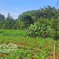 Bán Đất Tại Nam Hà, Lâm Hà Ven Đà Lạt 1200M² 100M2 Ont 24M Mặt Tiền, View Đồi Thông