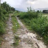 Đất xào giá rẻ Lạc Xuân – Đơn Dương