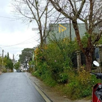 Đầu Tư An Toàn Sở Hữu Ngay Lô Đất Vị Trí Đẹp View Đẹp Sinh Lời Cao, Chỉ 29 Tr/M2 P3, Tp Đà Lạt