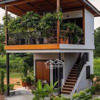 Vị Trí Đẹp, Gần Trung Tâm, Tiện Di Chuyển Có Suối Tự Nhiên, Tạo Không Gian Sống Mát Mẻ, Thư Giãn