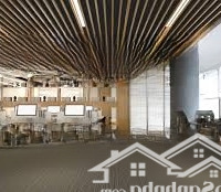 Tòa Nhà Mới Xây Ngaymặt Tiềnlý Thường Kiệt, Tân Bình - 12 X 20M - Hầm 7Tầng - Hđ: 250 Triệu - Giá Bán 65 Tỷ