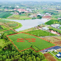 Hàng Ngộp - Bán Gấp Trong Tuần. Dt: 60 * 136M, Nở Hậu 80M = 7.403 M2