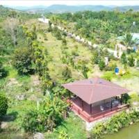 Bán đất nền có sẵn sầu riêng đang thu hoạch 300m2, ngang 10 120m tc, Quốc Lộ 55, Lộc Nam view đẹp