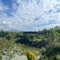 Bán đất nền có sẵn sầu riêng đang thu hoạch 300m2, ngang 10 120m tc, Quốc Lộ 55, Lộc Nam view đẹp