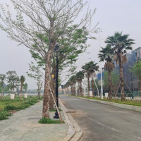 Bán Shophouse Tại Lương Sơn, 4,5 Tỷ, 120M2, Pháp Lý Đầy Đủ