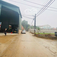 Chính Chủ Bán Mảnh Đất Tại Cổ Đông Sơn Tây Đường Thông, Rộng 5M