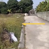 Giá Chỉ 8 Triệu/M2 Giá Đẹp Để Đầu Tư Ở Tiên Lữ Mặt Đường Đẹp