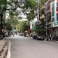 Mặt Phố Vip Đống Đa - Siêu Phẩm Kinh Doanh Vỉa Hè - Mặt Tiền Đẹp 5M8- Dòng Tiền Cao - Giá Chỉ 28 Tỷ