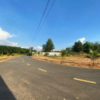 Đất Tân Định-Bến Cát- Bình Dương