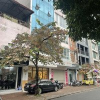 Cho Thuê Mbkd Hot Nhất Phố Hoàn Kiếm ! Tổngdiện Tích130M2 . Mặt Tiền 5,5M Siêu Lí Tưởng , Mọi Mô Hình .