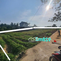 Cần Tiền Bán Nhanh Vườn 928M2 Hộ Khẩu Thành Phố Quảng Ngãi