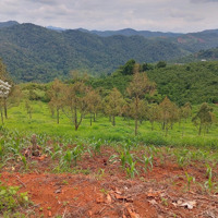 Bán Lô Đất 4Ha View Đẹp Tại Lộc Tân Bảo Lộc, Lâm Đồng