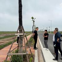 Chuyển nhượng 50.000m2 khu công nghiệp Lương Điền – Hải Dương