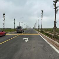 Chuyển nhượng 50.000m2 khu công nghiệp Lương Điền – Hải Dương