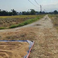 Đất Trồng Lúa 925M2 2 Mặt Kiệt Ô Tô Vuông Vắn Rất Đẹp, Ngang Rộng 32M