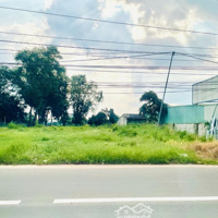 Cần Sang Lại 5 Nền Đất Thổ Cư (26,65X47=1250M2) Thổ Cư Ngay Chợ Minh Lập Dân Cư Đông, Giá Bán 395 Triệu
