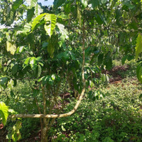 Bán Đất View Hồ Đẹp Thích Hợp Nghỉ Dưỡng, Homestay