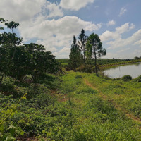 Bán Đất View Hồ Đẹp Thích Hợp Nghỉ Dưỡng, Homestay