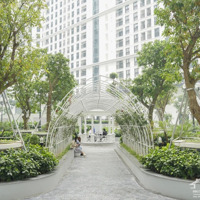 Cập Nhật 15 Căn Hộ Cho Thuê Tại Ct8.Diện Tích77M, 80M, 96M, 104M, 110M, 141M, 161M, Giá Chỉ Từ 18 Triệu/Th