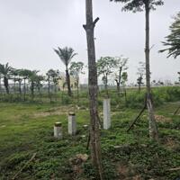 CHÍNH CHỦ BÁN 414M2 ĐẤT LÔ GÓC TRỤC ĐƯỜNG RA VÀNH ĐAI 4