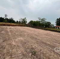 Bán Đất 500M2 Giá Siêu Hời Tại Định Trung, Vĩnh Yên, Vĩnh Phúc