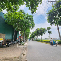 Bán Đất Mặt Đường Đại Áng 52.9M2. Lô Góc Ô Tô Tránh Vỉa Hè Kinh Doanh, Chỉ 8.3 Tỷ