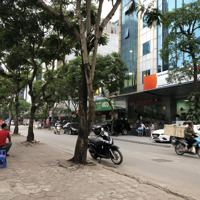 Bán Đất Tại Trần Thái Tông, Dịch Vọng Hậu, Cầu Giấy, Hà Nội, 200 Triệu/M2, 56 M2, Giá Tốt